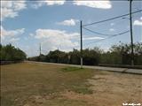 Aguirre Forest - GUAYAMA